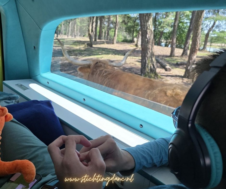 Daan naar de Beekse Bergen